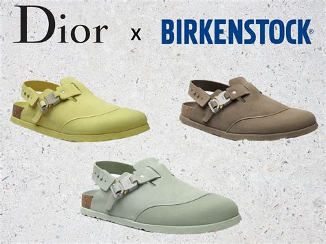 birkenstoxk dior